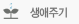 생애주기