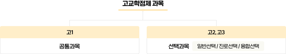 고교학점제 과목