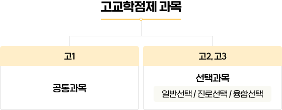 고교학점제 과목
