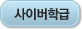 사이버학급